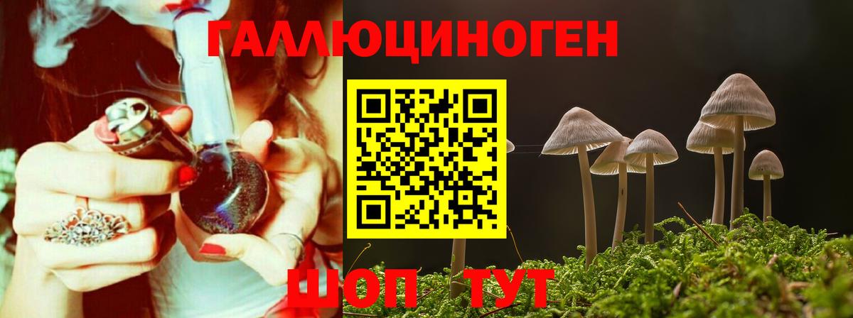Галлюциногенные грибы MAGIC MUSHROOMS  Галлюциногенные грибы Psilocybine cubensis  Зерноград  Вход с VPN 